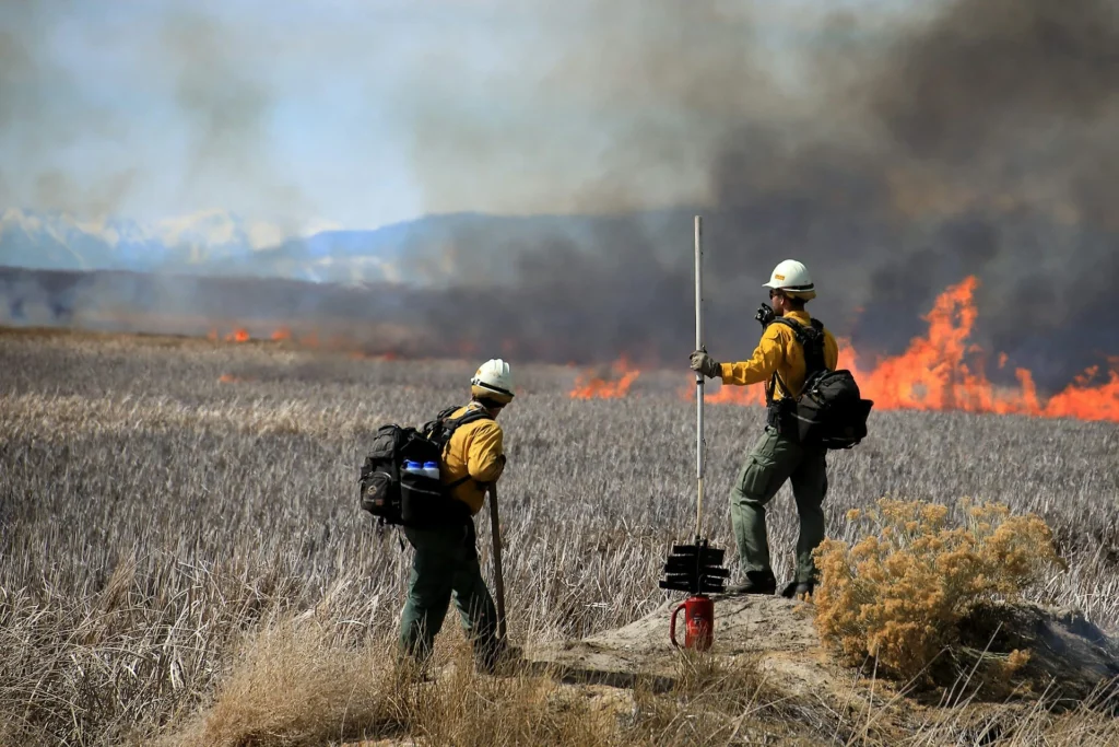 importance of generators during wildfire season