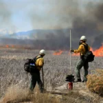 importance of generators during wildfire season